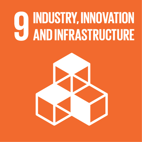 e sdg icons 09