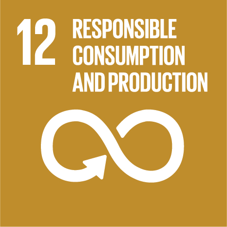e sdg icons 12