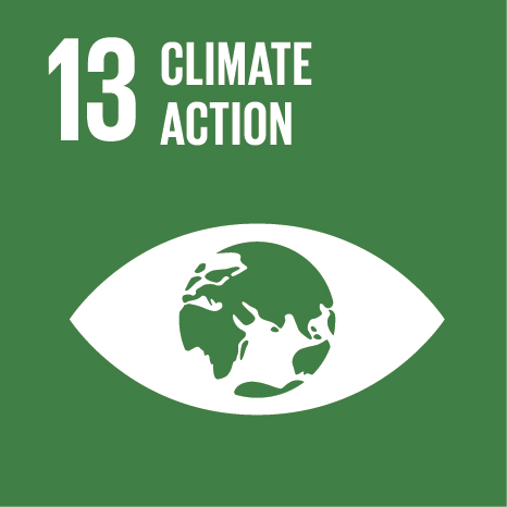 e sdg icons 13